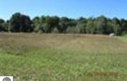 LOT 4 ERIC DRIVE, KALKASKA, MI 49646