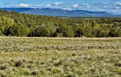 2153 Wrangler Way, Durango, CO 81301