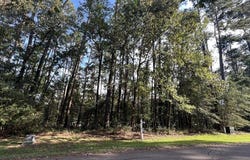 91 Twinstone Cir, Coldspring, TX 77331