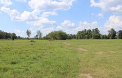 PID 12868 Williford Lane, Lufkin, TX 75901