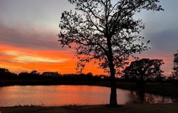 463B NE 88th Lane, Lamar, MO 64759