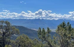 Tbd Pine Drive, Ridgway, CO 81432