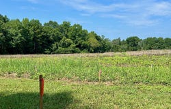 00 Walter Bright Road, Sanford, NC 27330