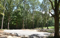 6 Gray Academy Road, Ashland, MS 38603