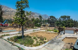 3486 Mcnally Avenue, Altadena, CA 91001