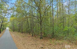 Tom Shivers Road, Flomaton, AL 36441