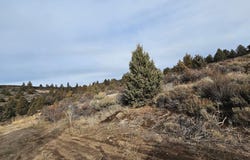 Lot 78 Mason Street, Sprague River, OR 97639