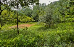 34721 52nd Street, Bangor, MI 49013