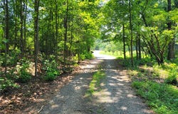 306 Fox Fire Road, Central, SC 29630