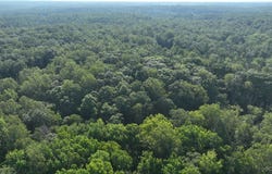 02  Strawberry Run, Crozier, VA 23039