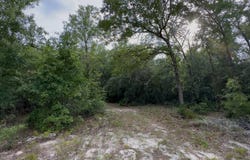9796 N Feigel Ter, Crystal River, FL 34428