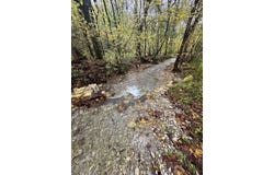 Mcbroom Branch Rd, Baxter, TN 38544