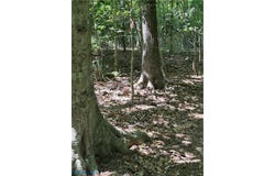 Runninghorse Lane, Gloucester, VA 23061