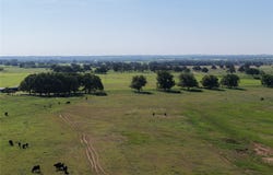 600 County Road 107 B, Sidney, TX 76474