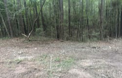 20 MOL AC HWY 42, Petal, MS 39465