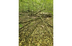 000 Hites Creek, Middleburg, KY 42541