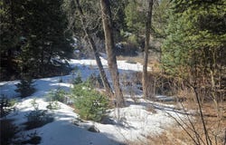 Fall River Road, Idaho Springs, CO 80452