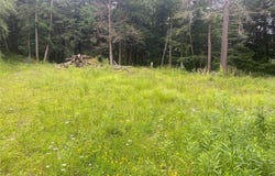 Fulmer Valley Road, Wellsville, NY 14895
