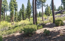 8143 Fallen Leaf Way, Truckee, CA 96161