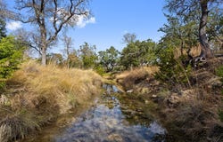 1145 Flat Creek Rd, Johnson City, TX 78636