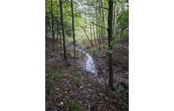 3513 Rogers Road, East Jordan, MI 49727