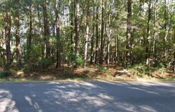 62011 Rebel Road, Vivian, LA 71082