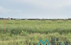 000 Tumbleweed Road, Dexter, NM 88230