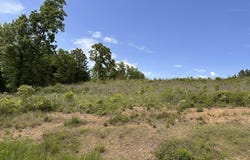 Panther Run Trail, Greenbrier, AR 72058