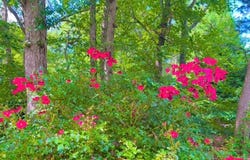 384 Miller Place Road., Miller Place, NY 11764