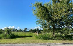TBD Baudoin Rd, Maurice, LA 70555