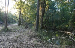 Garland Road, Henderson, TN 38340