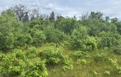 V/L E 38th Street, Idlewild, MI 49642