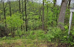 284 Berwick Turnpike, Ashland, NY 14894
