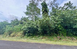 NENUE ST, Pahoa, HI 96778