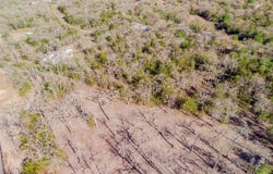 Lot 212 Forest Oak, Somerville, TX 77879