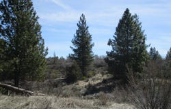 Sportsman Lane, Chiloquin, OR 97624
