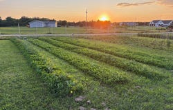 967 65th Avenue, Roberts, WI 54023