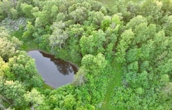 Shady Creek Rd, Black River Falls, WI 54615