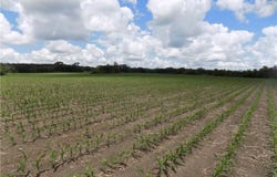 1500 Rd & NE Texas Road, Garnett, KS 66032