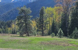 Granger Rd., Lostine, OR 97857