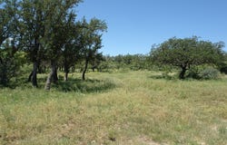 0001 CR 146, Brady, TX 76825