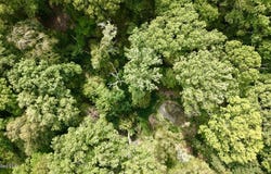 01 Abernathy Road, Flora, MS 39071