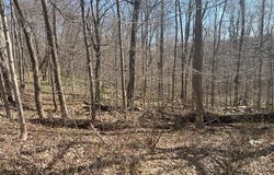 Maple Grove Road, Moscow, PA 18444