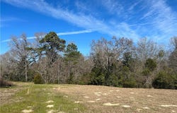 2133 FM 2423, Grapeland, TX 75844