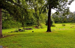2563 DUMPLING RUN ROAD, MOOREFIELD, WV 26836