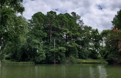 Canvasback Drive, Ophelia, VA 22530