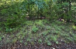 Tbd Storm Cove Drive, Linn Creek, MO 65052