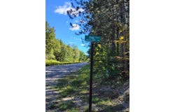 9168 Pine Drive NE, Mancelona, MI 49659