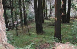 00 Slate Creek Road, La Honda, CA 94020