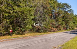Smith Drive lot: 37, Signal Mountain, TN 37377